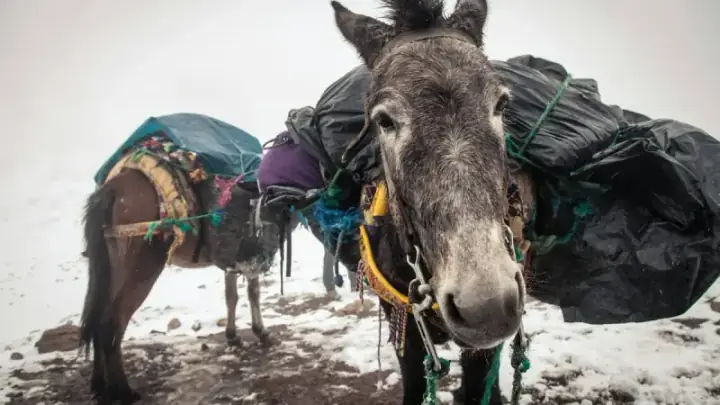 4-Day Winter Trek to Toubkal and Ouanoukrim Peaks — photo 1 sur adventuro