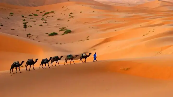 Morocco Kasbahs & Desert — photo 1 sur Bookmundi