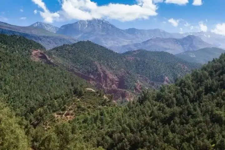 Excursion d'une journée dans la vallée de l'Ourika – Au départ de Marrakech — photo 1 sur Ceetiz