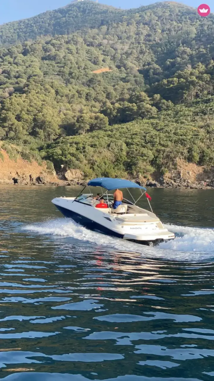 Sea Ray Sundeck 240 (2013) — photo 1 sur Click&Boat