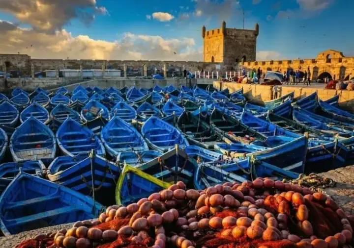 Marrakech : excursion d'une journée à Essaouira - plage, médina et remparts — photo 1 sur Expedia