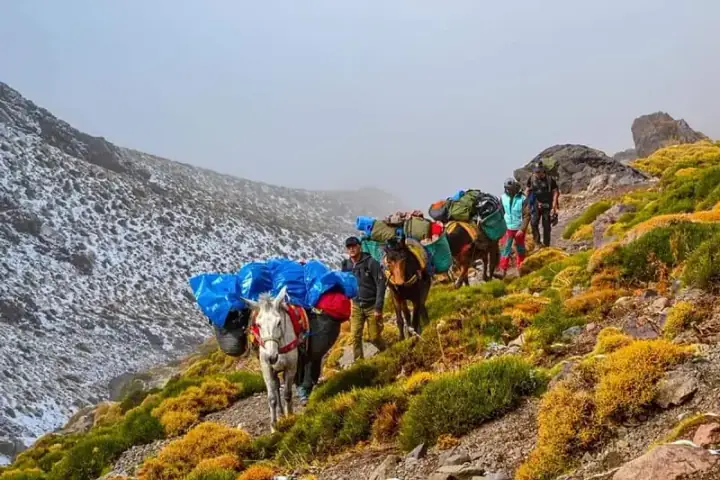 Hiking Atlas Mountains from Marrakech, Morocco (3 days) — photo 1 sur Explore-Share