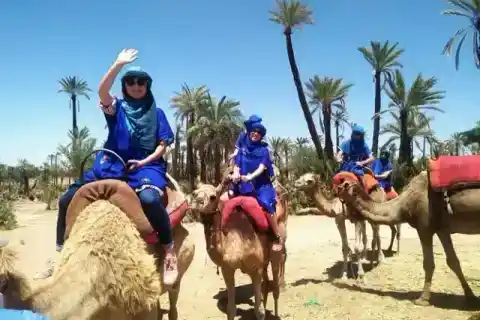Balade à dos de chameau dans la Palmeraie de Marrakech — photo 1 sur Hellotickets