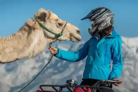 Balade en quad et promenade à dos de chameau à Marrakech — photo 1 sur Hellotickets