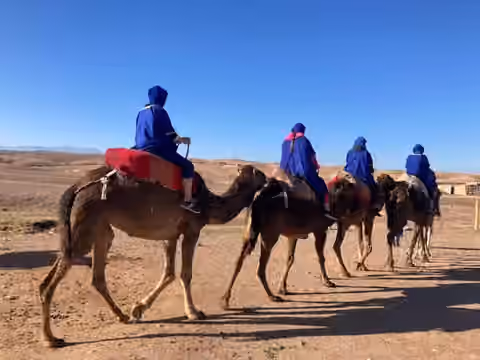 Balade à dos de chameau dans l’Agafay