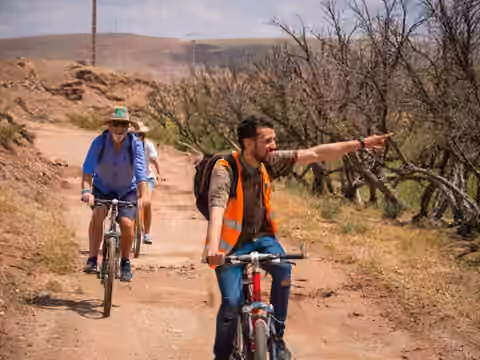 Cyclistes dans la palmeraie
