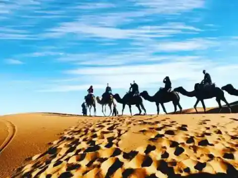 Caravane de dromadaires dans les dunes — Responsible Travel