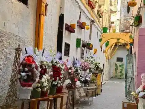 Ruelle fleurie d’une médina — Responsible Travel