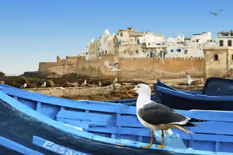 Barques bleues dans le port d’Essaouira