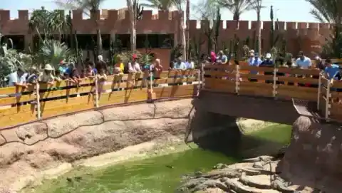 Passerelle et végétation à Crocoparc — TourHQ