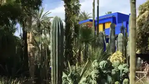 Végétation et bâtiment bleu du jardin Majorelle — TourHQ