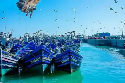 Barques bleues du port d’Essaouira — TourHQ