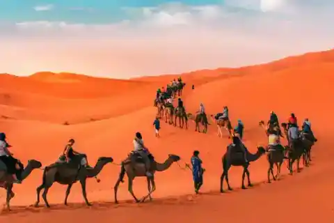 Caravane de dromadaires dans les dunes — Traveloka