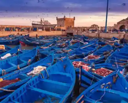 Barques bleues du port d’Essaouira — Traveloka