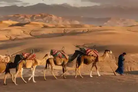 Caravane dans un paysage désertique — Traveloka