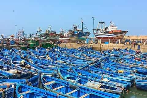 Barques bleues du port d’Essaouira
