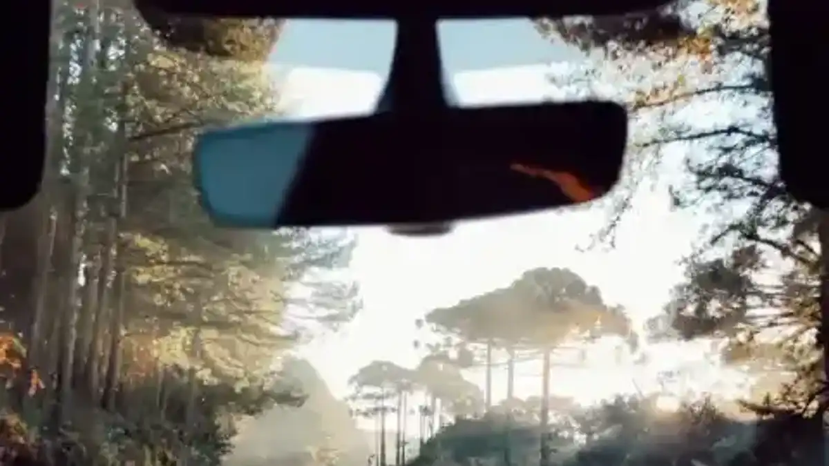 Vue de la route depuis un véhicule avec chauffeur — sélection Daytrip