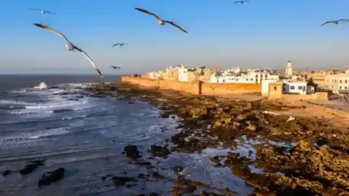 Excursion privée vers le littoral d’Essaouira — sélection Rydeu