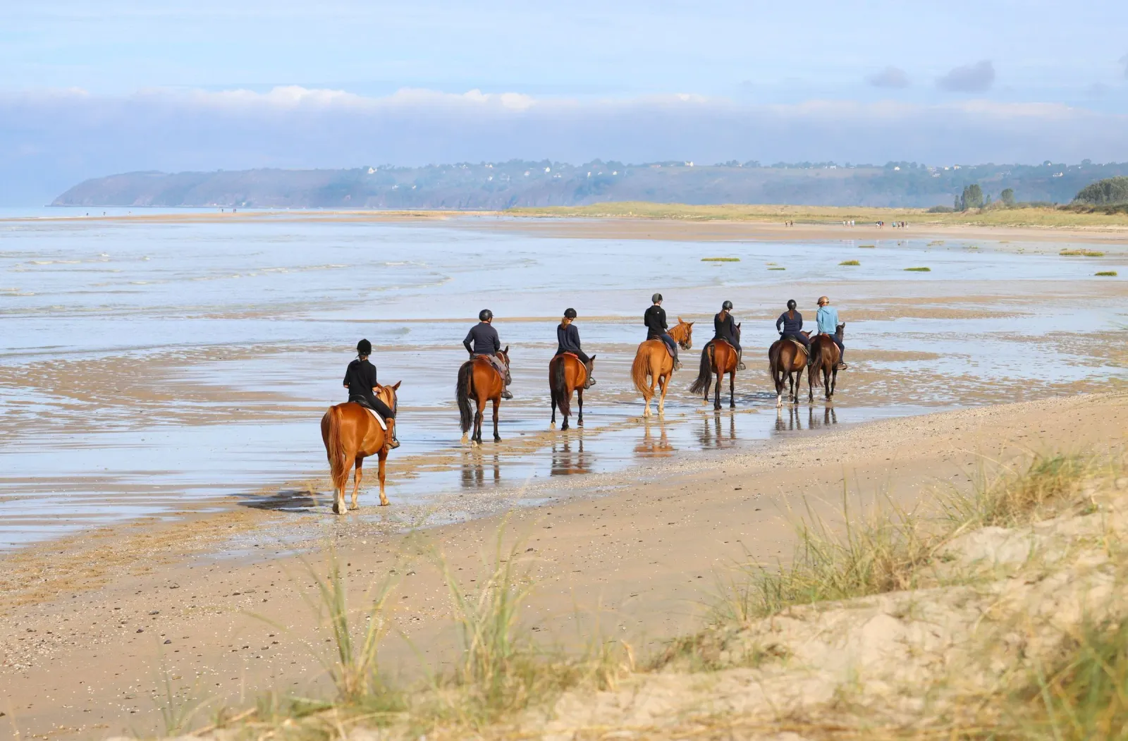 Balade à cheval sur la plage d’Essaouira