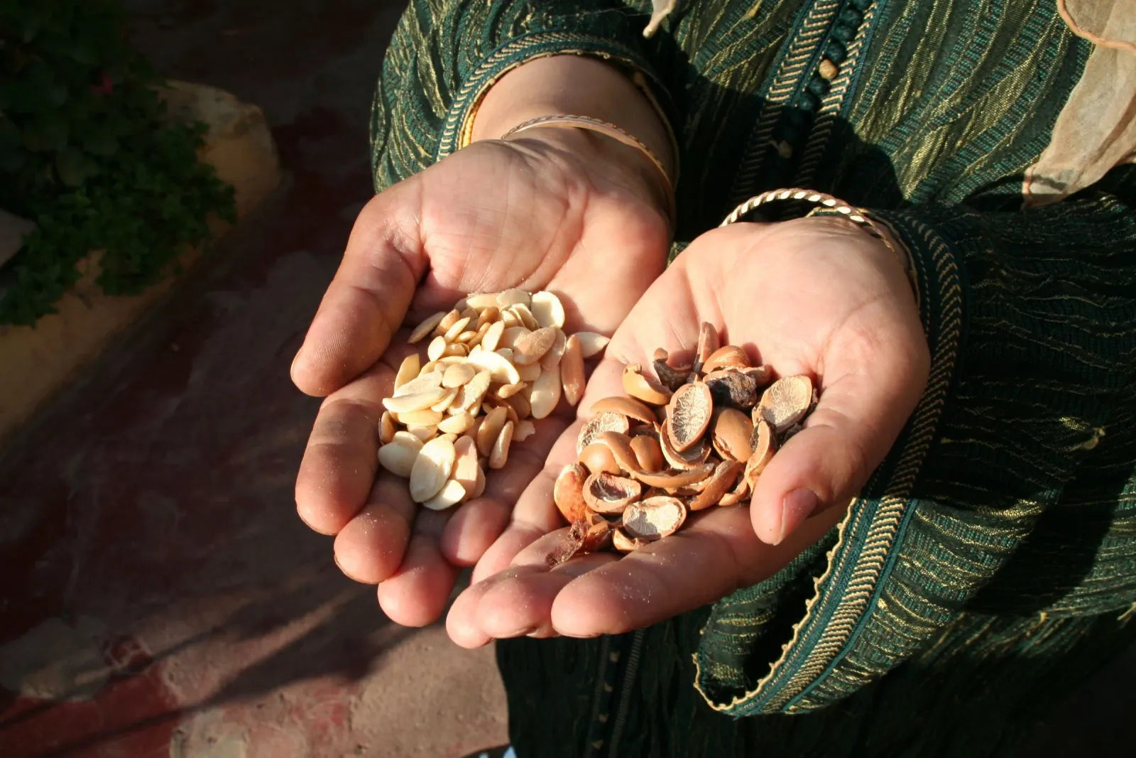 Coopérative d’huile d’argan