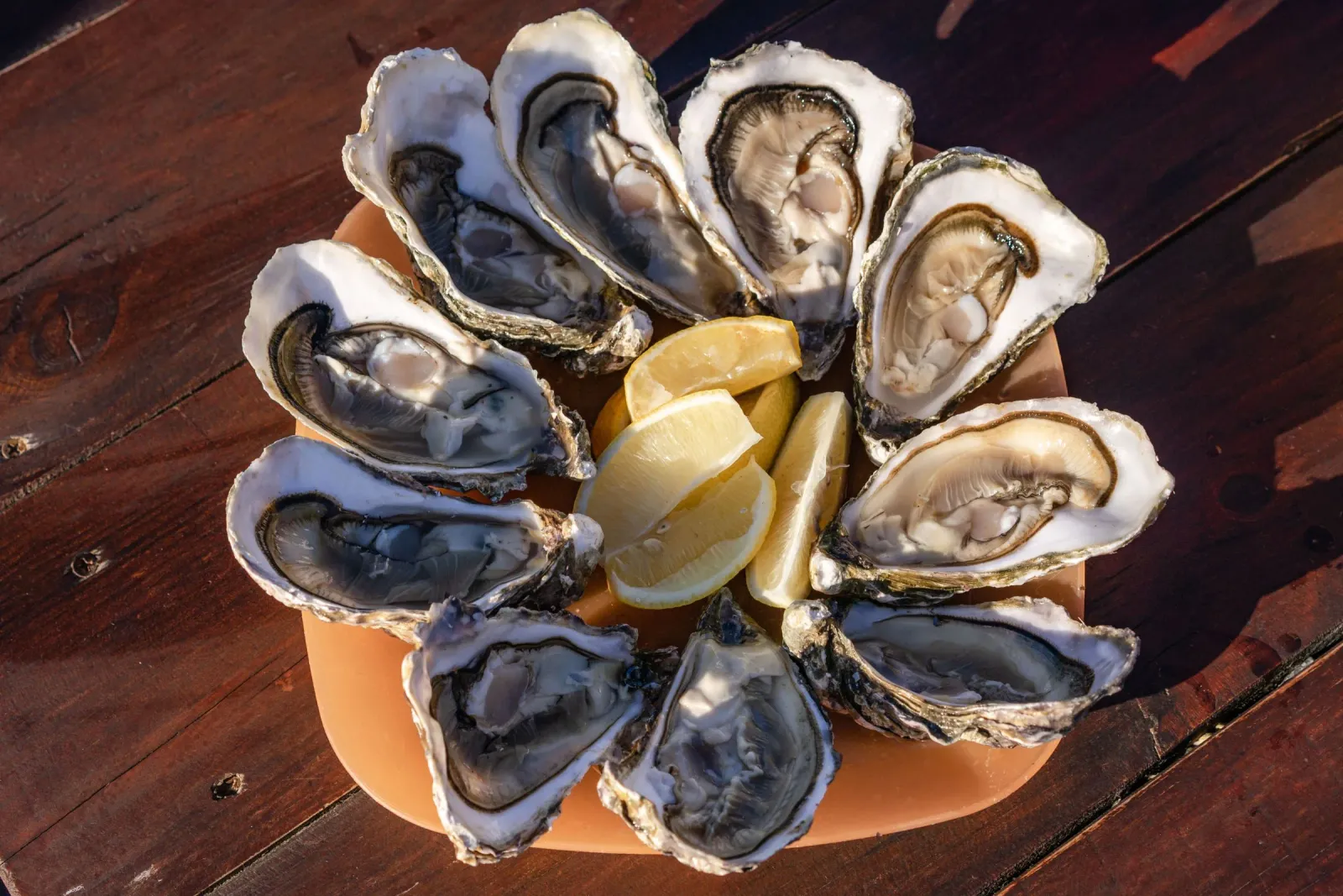 Huîtres de Dakhla