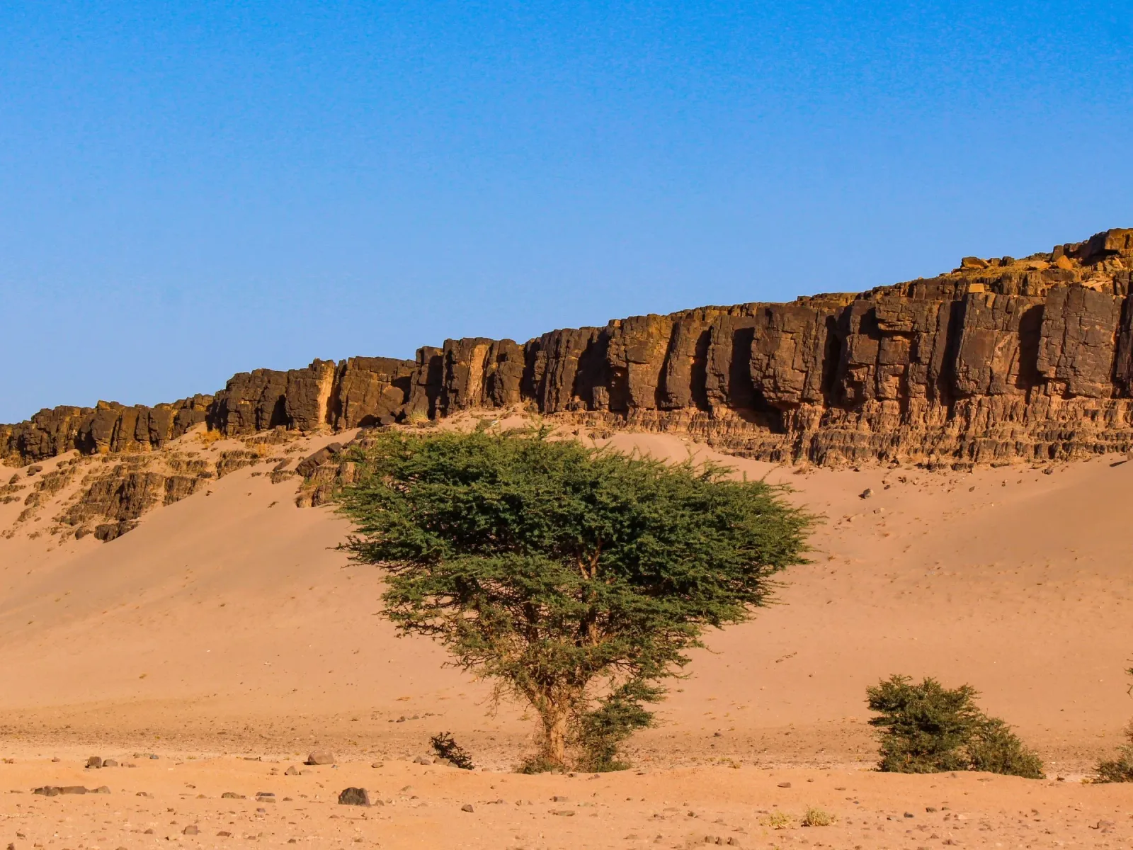Parc de Souss-Massa