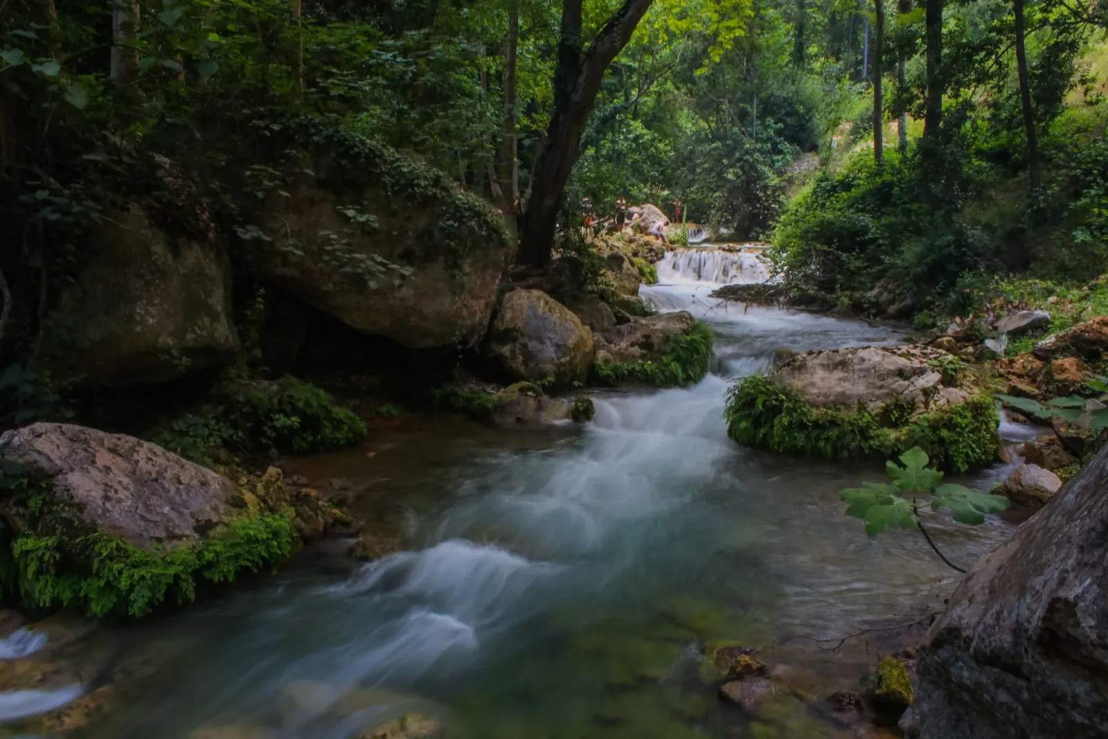Parc national de Talassemtane
