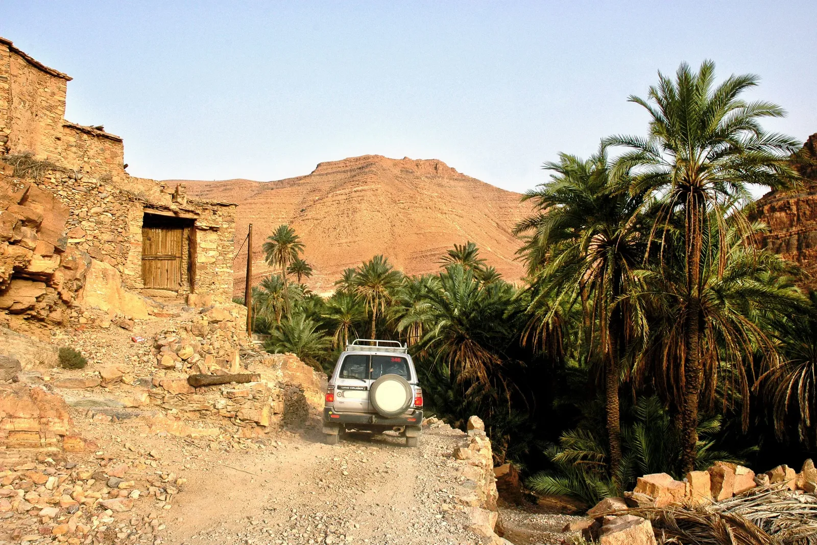 La palmeraie du Drâa