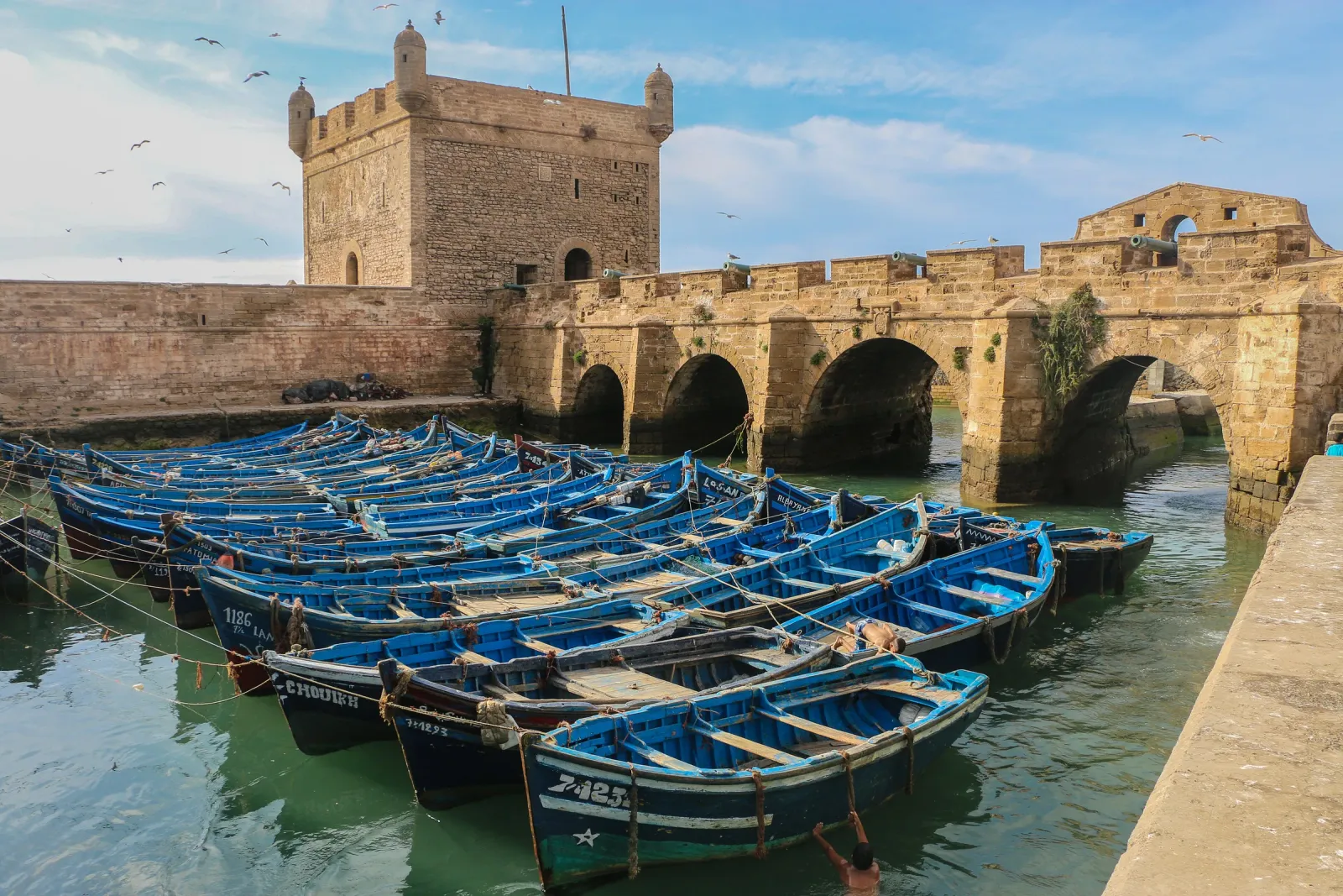 Le port de pêche, Essaouira