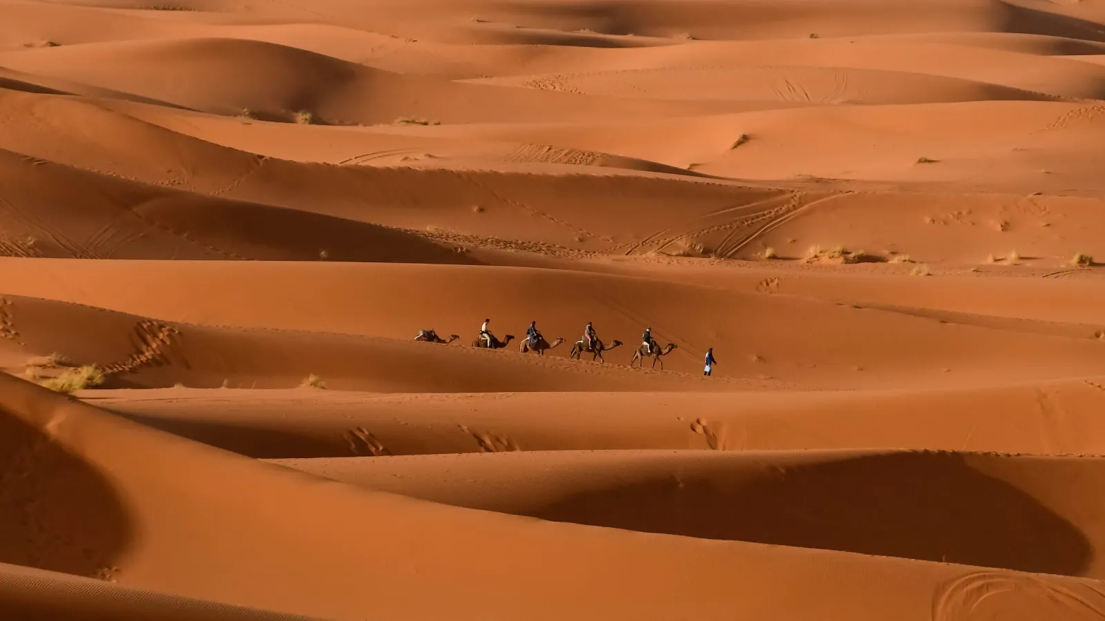 Caravane dans les dunes, Merzouga